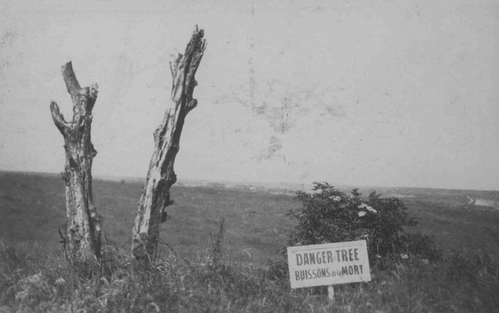 The Danger Tree, as it became known following the Battle of Beaumont-Hamel, was a solitary tree that remained standing on the battlefield, despite being ravaged by shell and gunfire from both sides. Many Newfoundlanders converged on the location attempting to advance and it was there that many of them fell. Photo taken circa 1925
PHOTO: Coll-308 Thomas Nangle Collection 1.25.010 Danger Tree, Archives and Special Collections, QEII Library, Memorial University.