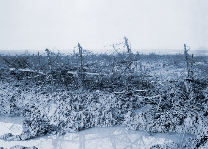 German barbed wire entanglements, known as ‘ knife rests’, photographed in the Beaumont-Hamel area, 1916