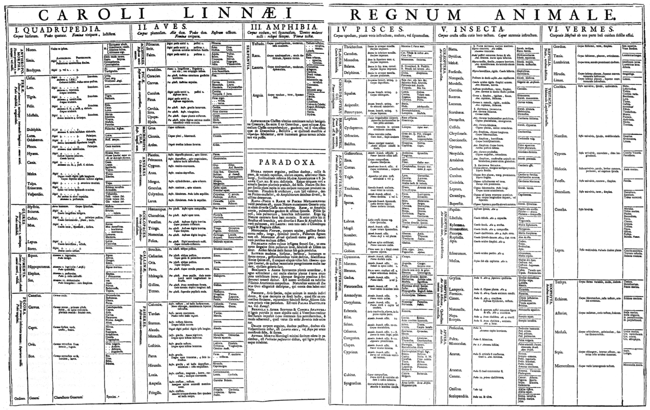 Systema Naturae - Regnum Animales (1735)