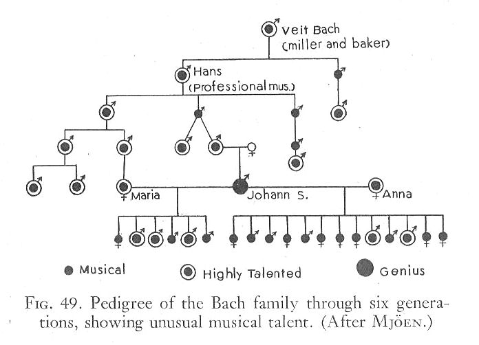 Bach family pedigree