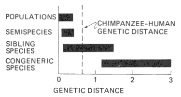 Chimp-human genetic distance