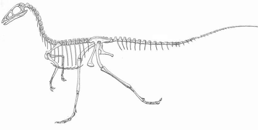 Compsognathus Habitat