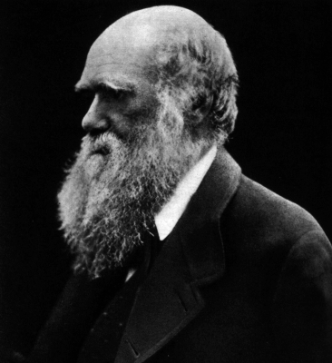 Darwin_portrait.gif