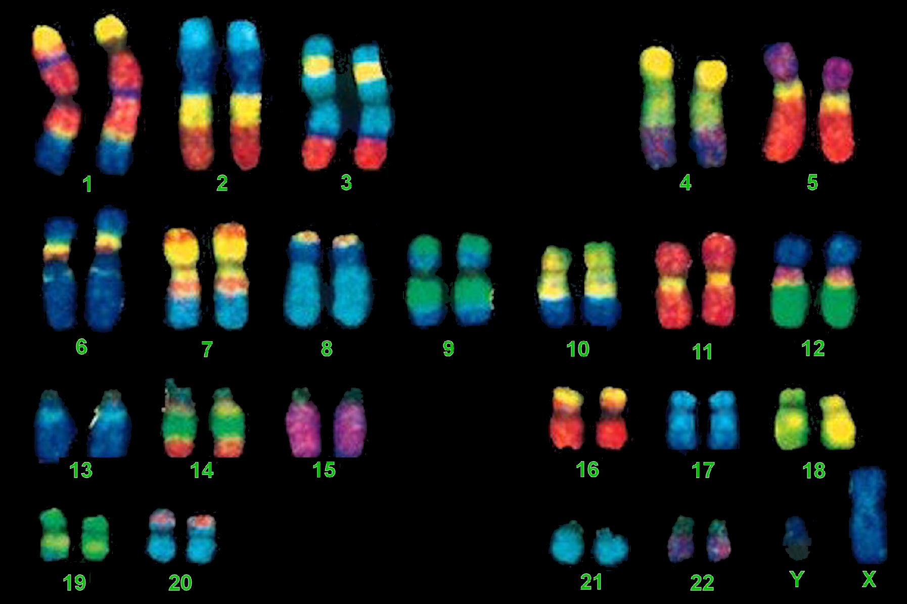 http://biology-pictures.blogspot.com.es/