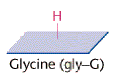Glycine.gif