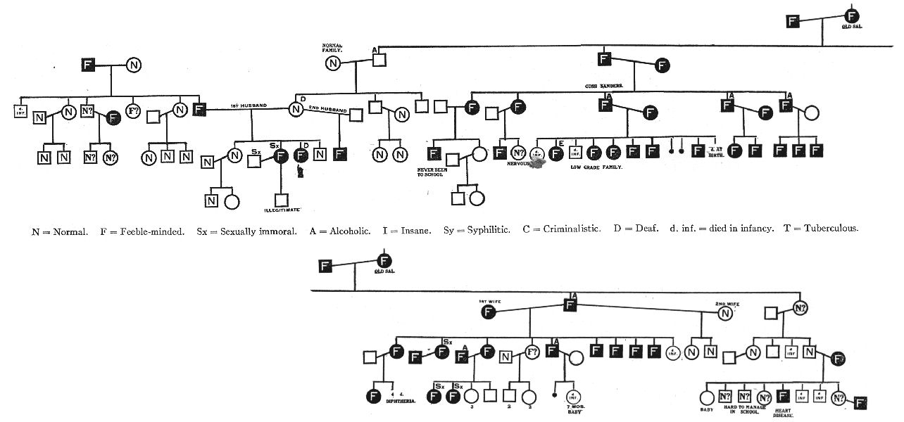 Pedigree Chart Assignment