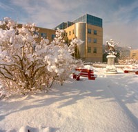 Arts atrium in winter