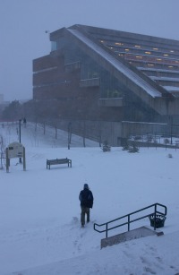 Winter storm on Memorial's St. John's campus.