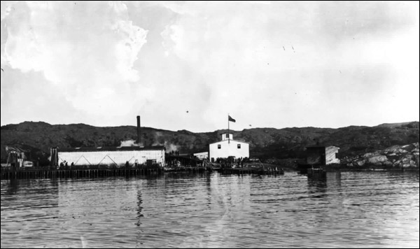 Whaling Station, Hawk's Harbour, Labrador, 1911-1912