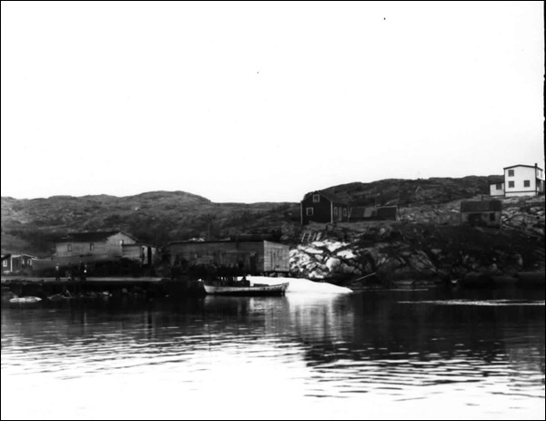 Whale on Slip, Hawk's Harbour, 1948