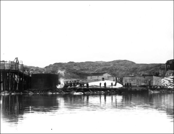 Whale on Slip, Hawk's Harbour, 1941