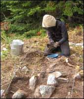 Eliza Brandy's Snooks Cove Archaeological Site