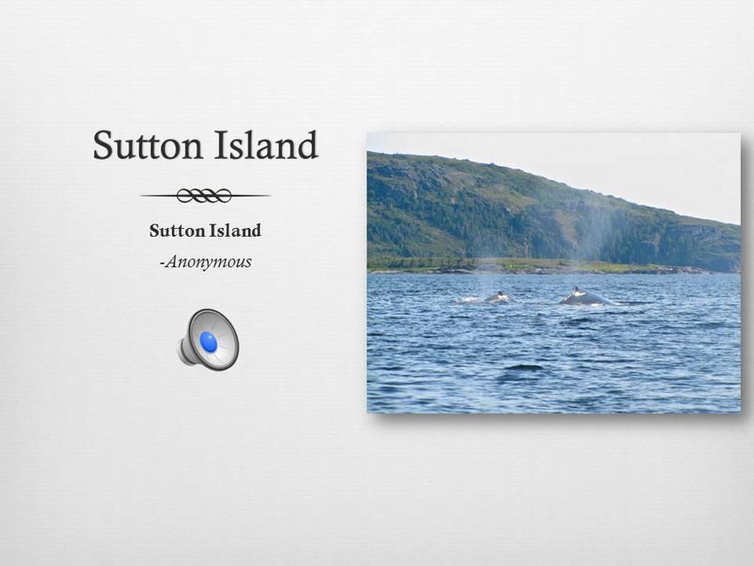 Sutton Island