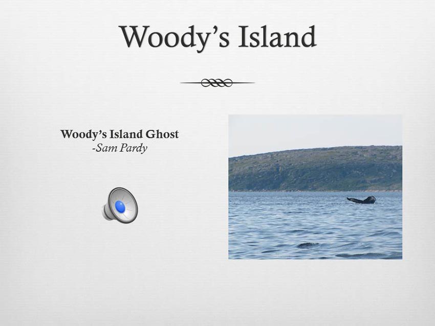 Woody`s Island