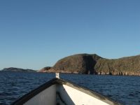 Partridge head, seen from the boat