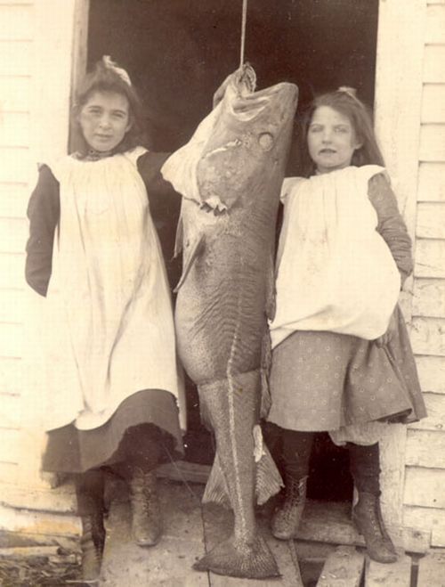 two young girls with large codfish