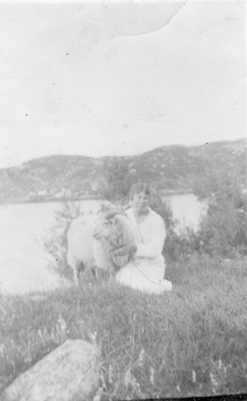 woman with a sheep