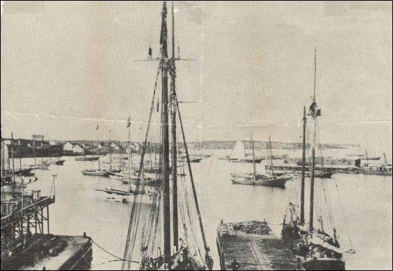 Goélettes dans le port de Port Union.