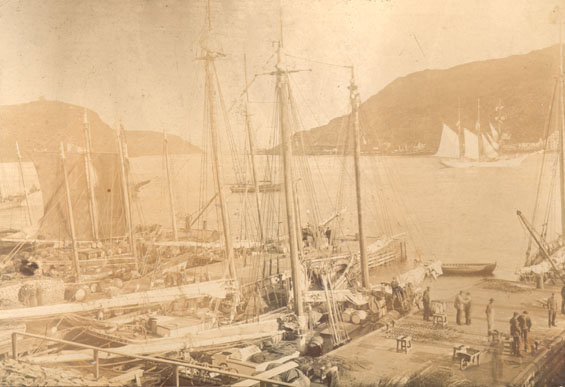Job Brothers & Co. premises, north side, St. John's harbour looking towards Signal Hill