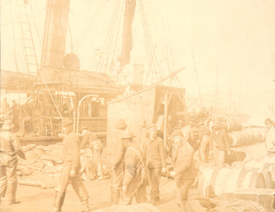 S.S. “Diana” loading for the seal fishery