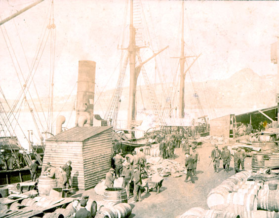 S.S. “Neptune” discharging from the seal fishery at Job Brothers & Co. wharf, south side, St. John's harbour