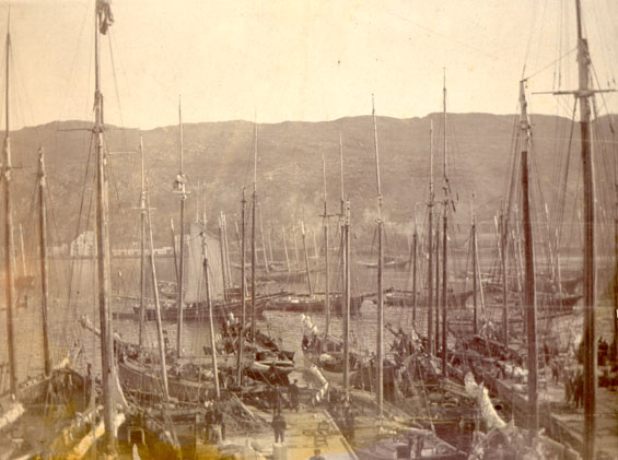 A third view of Job Brothers & Co. premises, north side, St. John's harbour