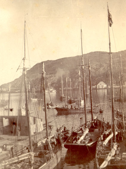Job Brothers & Co. dock, north side, St. John's harbour