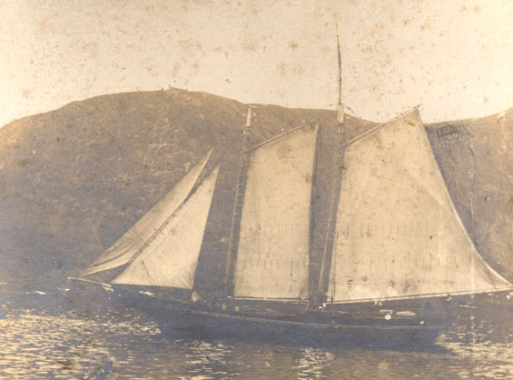 Unidentified schooner entering the Narrows, St. John's 