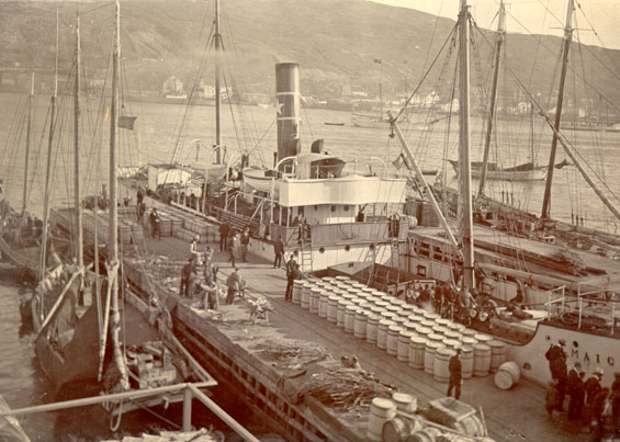 Vessel "Jamaica" loading at Job Brothers & Co. premises, north side, St. John's harbour