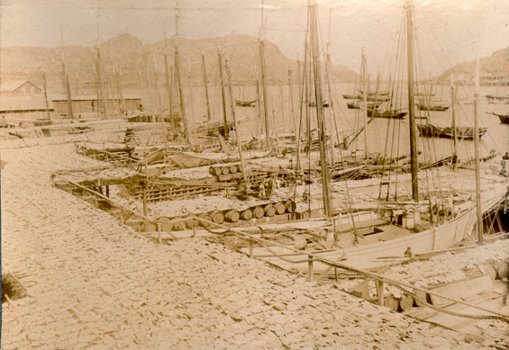 Codfish spread to dry on the flakes at Job Brothers & Co. premises, north side, St. John's harbour