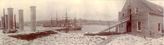 Panoramic view of St. John's harbour taken from Job Brothers & Co. south side premises, looking south