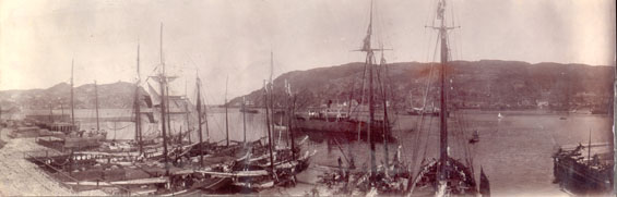 Panoramic view of St. John's harbour and the Narrows from Job Brothers & Co. north side premises