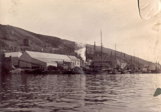 Job Brothers & Co. south side premises, St. John's taken from the harbour