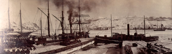 S.S. "Nimrod" preparing for the seal fishery at Job Brothers & Co. dock, north side, St. John's harbour
