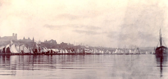 View of the north side of St. John's harbour taken from the west end, with schooners drying their sails on a calm day