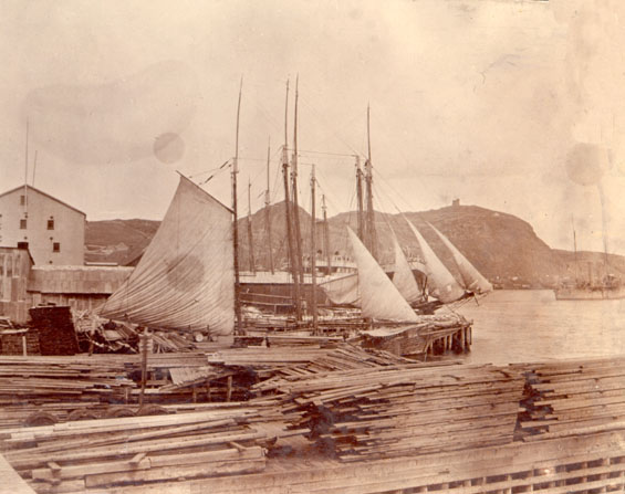 View from an office window at Job Brothers & Co. premises, north side, St. John's harbour with Signal Hill in the background