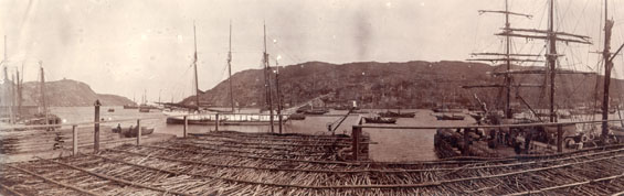 Panorama of St. John's harbour with fish flakes in the foreground