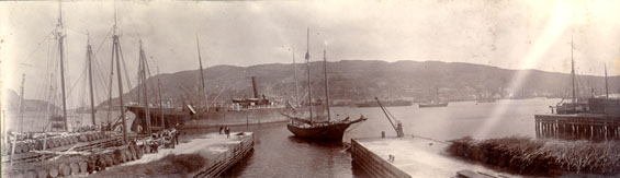 Panorama of St. John's harbour taken from Job Brothers & Co. premises, north side