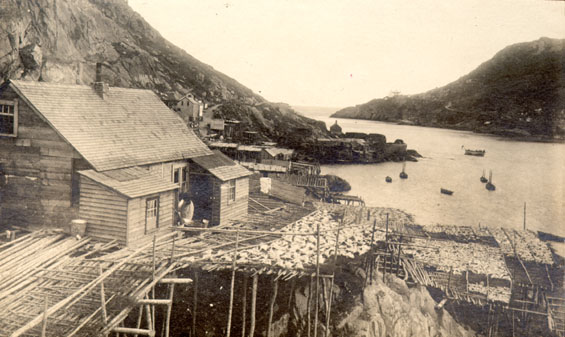 Chain Rock, St. John's, showing the Battery area