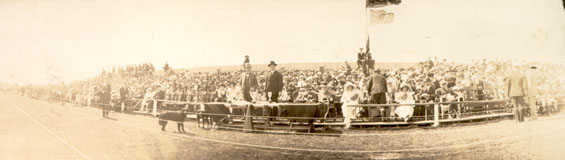 Panorama of a stage and seated dignitaries at a ceremony during Sir Douglas Haig's visit