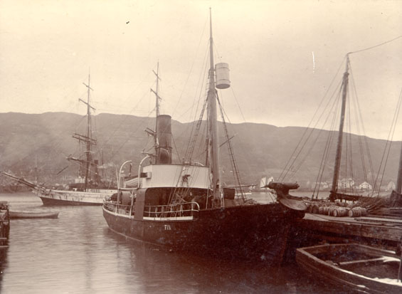 Whaling steamer "Fin" on arrival from builders