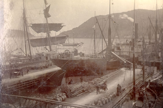 Vessels loading at Job Brothers & Co. premises, north side, St. John's harbour