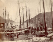 Another view of Job Brothers & Co. premises, north side, St. John's harbour
