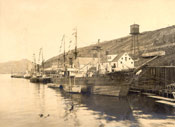 "Thetis" and other vessels tied up at Job Brothers & Co. south side premises, St. John's harbour