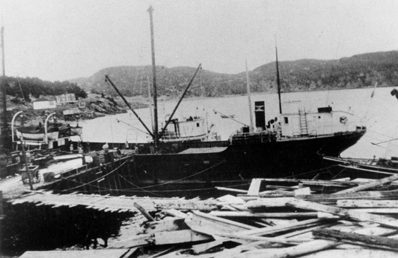 Unidentified vessel at Spencer's Cove, Placentia Bay