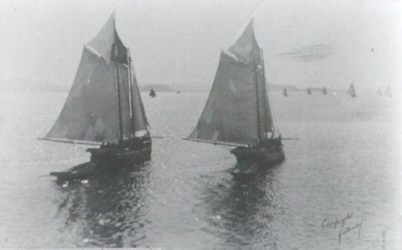 Two Labrador schooners at sea