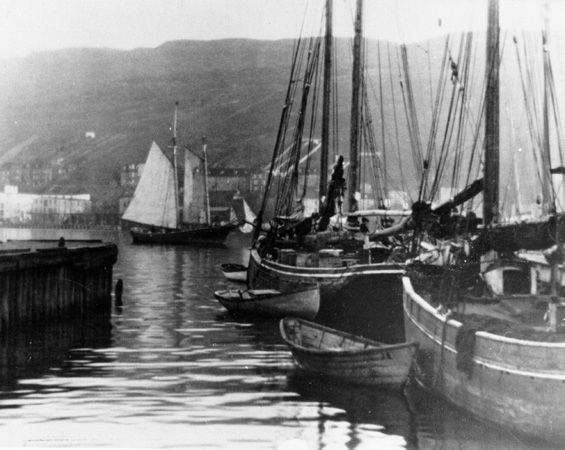 Ships in St. John's Harbour