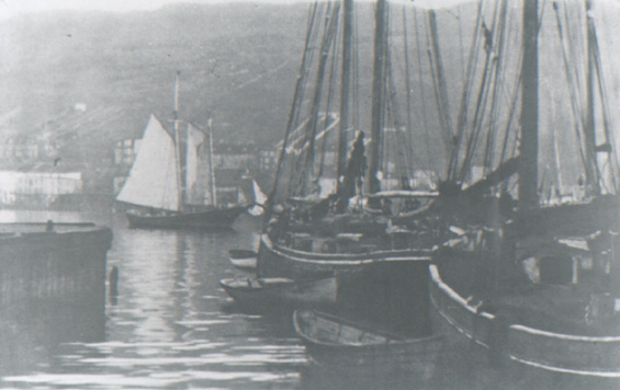 Ships in St. John's Harbour