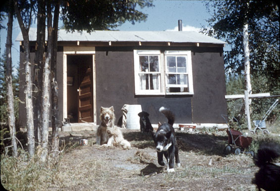 House and dogs belonging A. and M. Michelin, North West River, Labrador