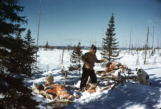 Russell Groves and his dog, Spot, cleaning a deer near Fig River, south of Lake Winokapau, Labrador